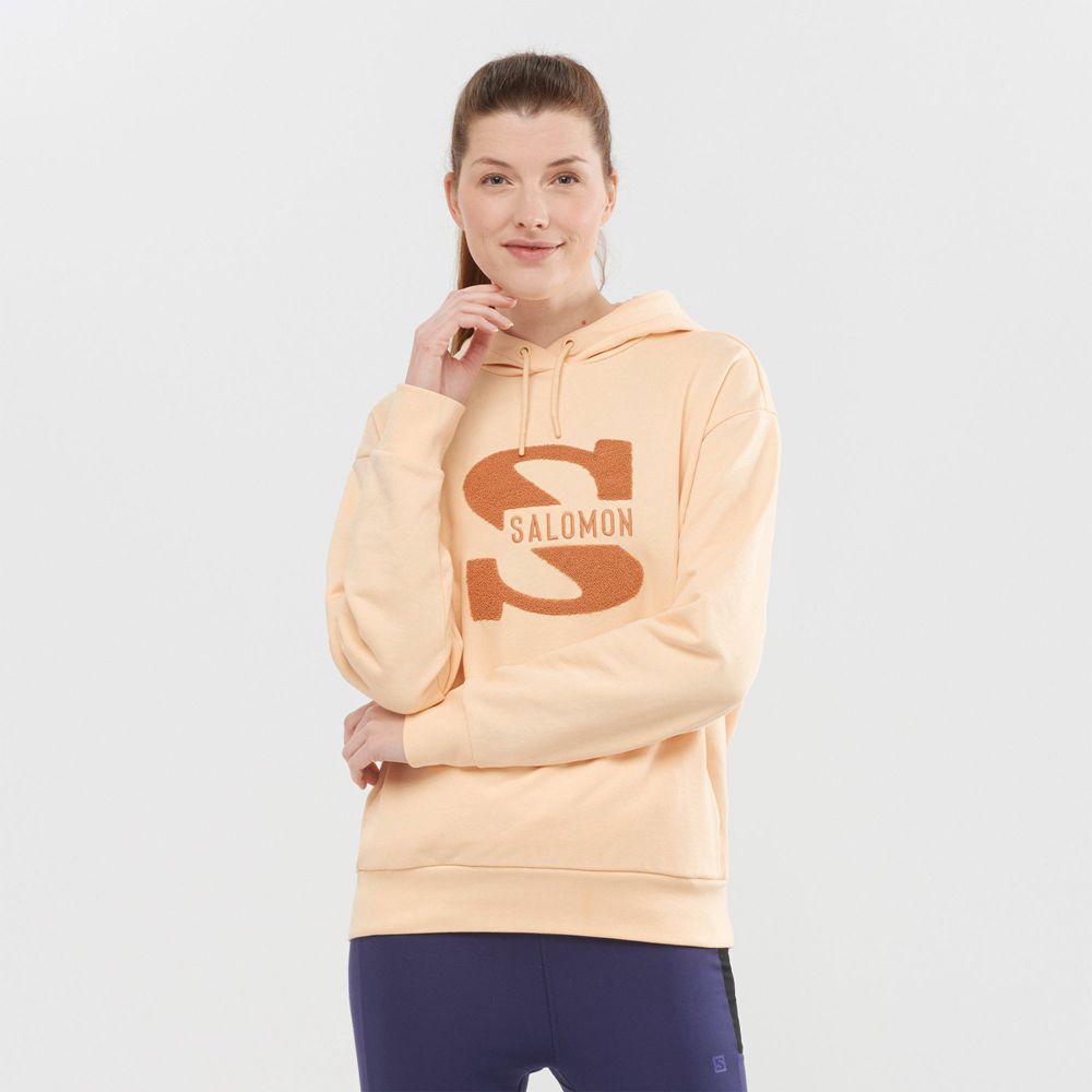 SALOMON OUTLIFE LOGO SUMMER Philippines - Women's Pullover - Beige | 642310-TBZ